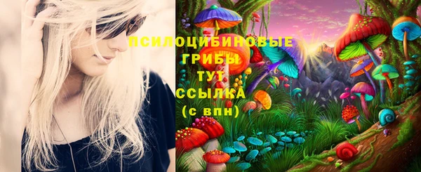 гидра Алексеевка