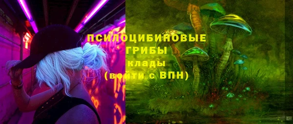 гидра Алексеевка
